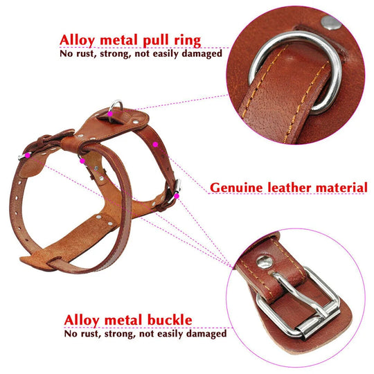 Features Of Genuine Leather Dog Harness
