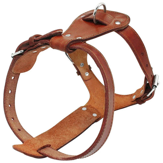 Stylish Genuine Leather Dog Harness