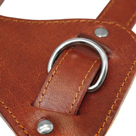 Top-grade Genuine Leather Dog Harness