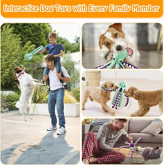 Improve Interactive Behavior Of Dogs