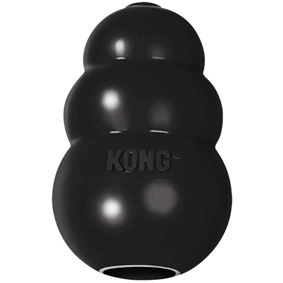Black KONG Extreme Dog Toy