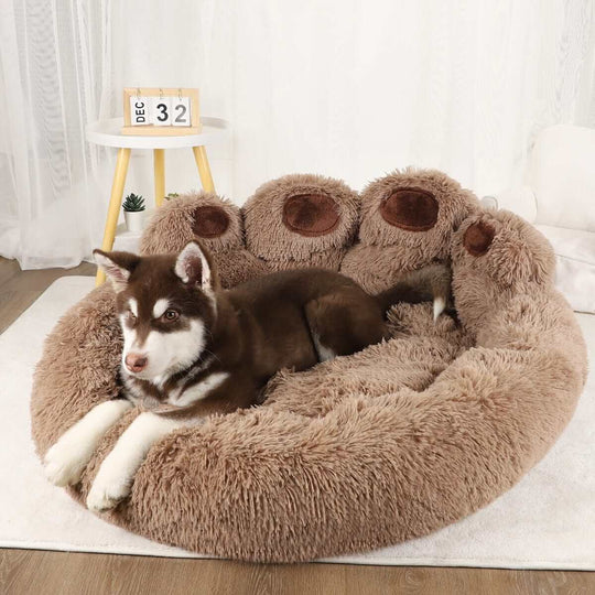 Beds for DogsBEDS AND MATS