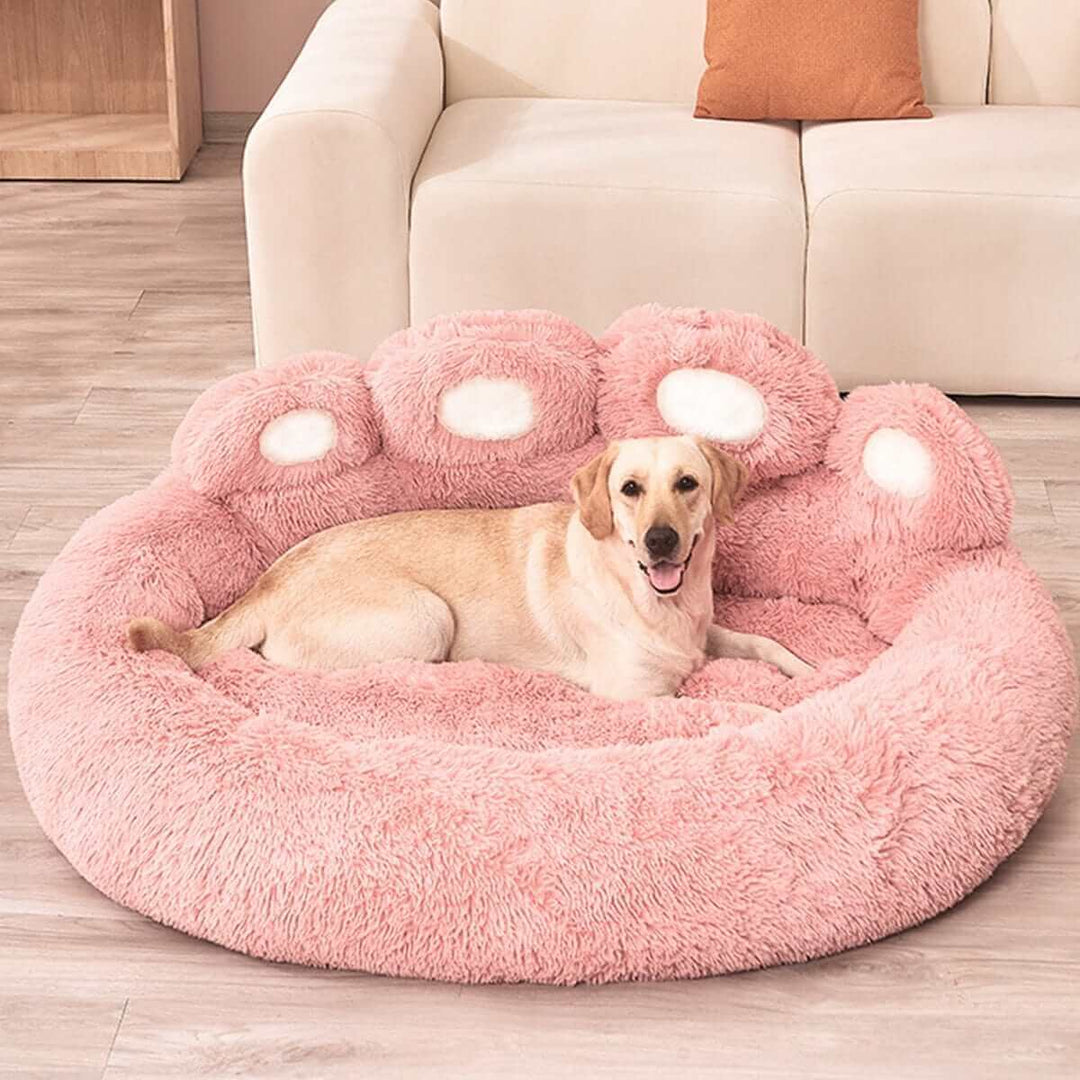 Beds for DogsBEDS AND MATS