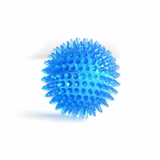 Blue Cleaning Tooth Ball Toy for Dogs