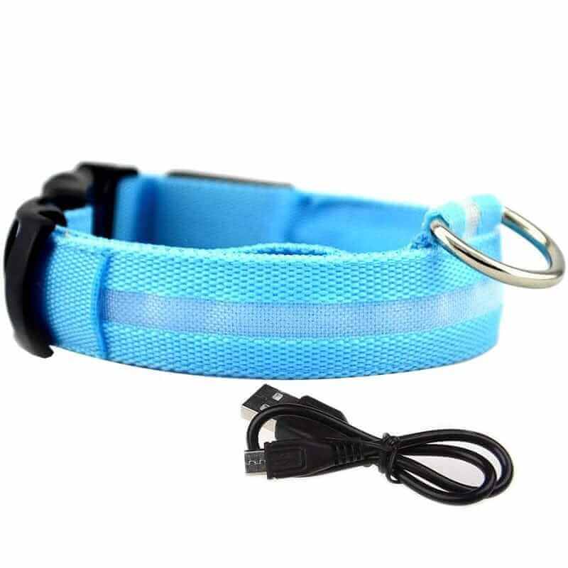 Light Blue LED Glowing Dog Collar