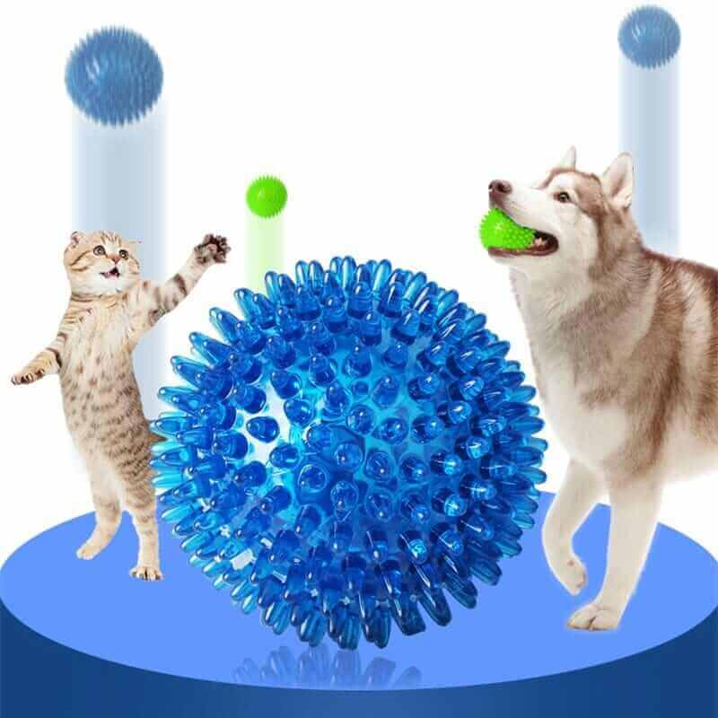 Pets with Cleaning Tooth Ball Toy for Dogs
