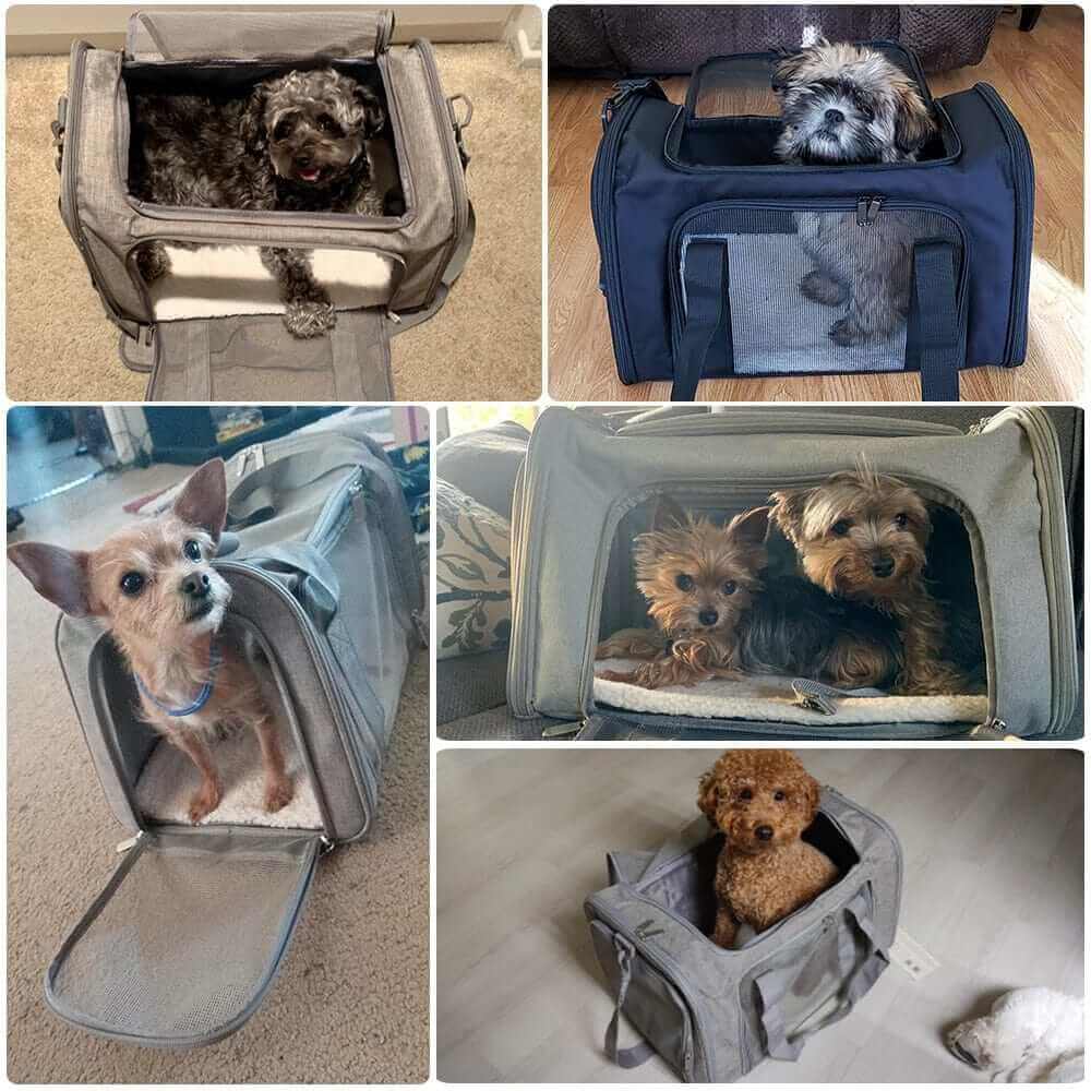 Dog Carrier BagCARRIERS