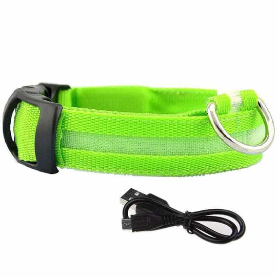 Green LED Glowing Dog Collar