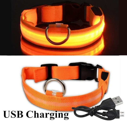 Charging Instructions LED Glowing Dog Collar