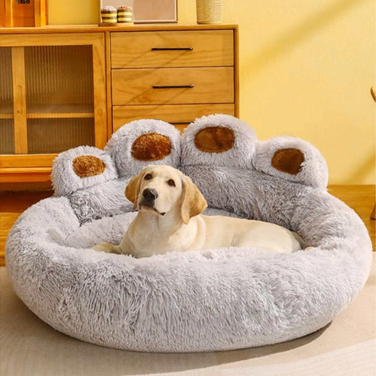 Beds for DogsBEDS AND MATS
