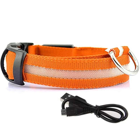 Orange LED Glowing Dog Collar