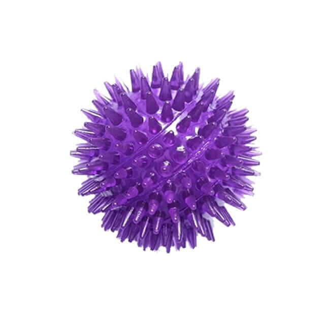 Purple Cleaning Tooth Ball Toy for Dogs