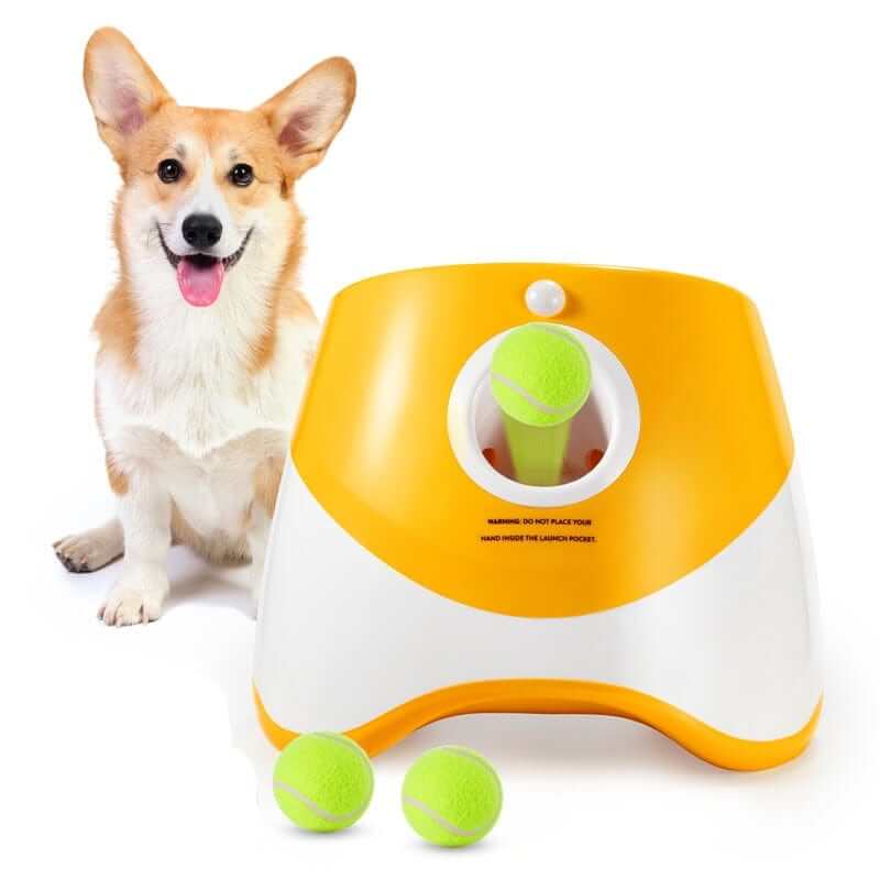 Orange Automatic Tennis Launcher for Dogs