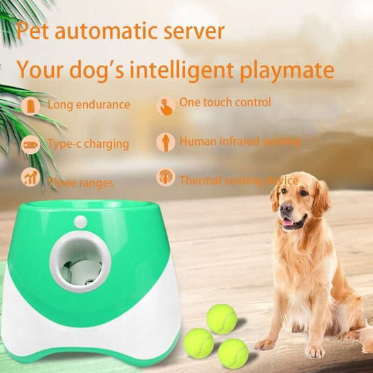 Features of Automatic Tennis Launcher for Dogs
