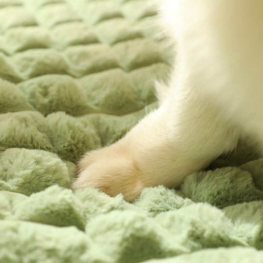 Winter Dog MatBEDS AND MATS