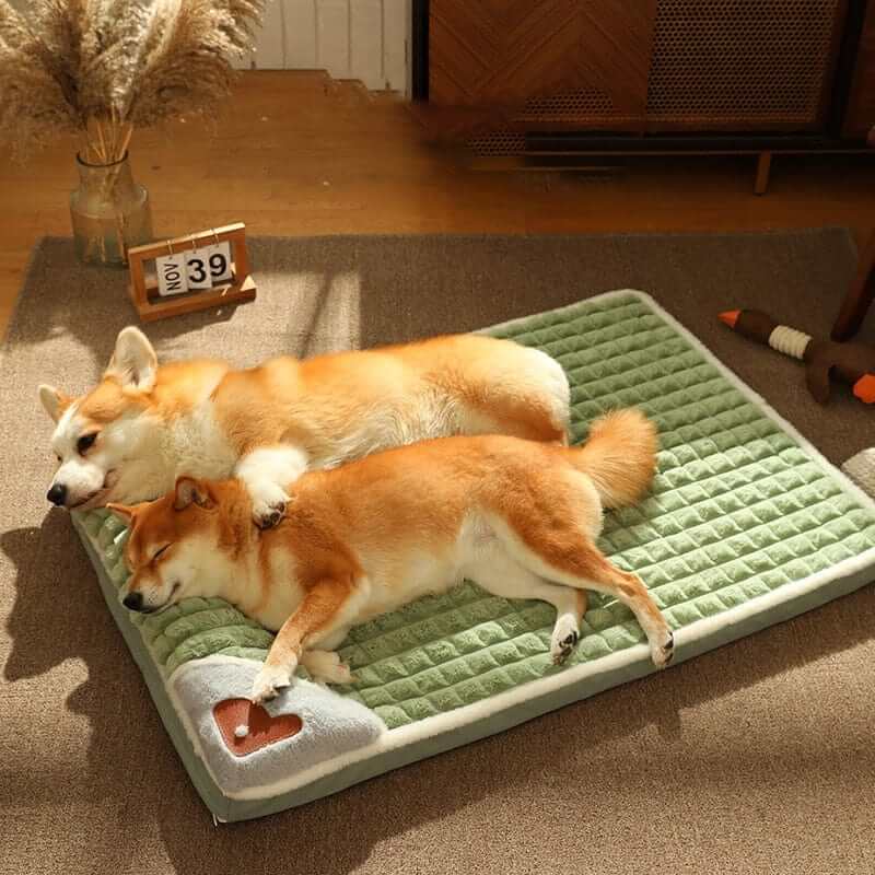 Winter Dog MatBEDS AND MATS