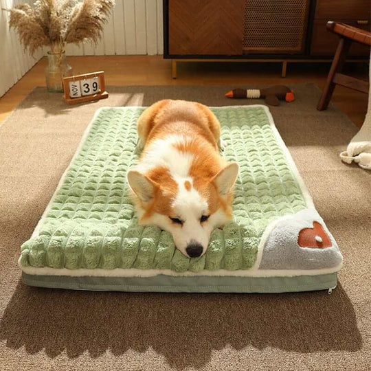 Winter Dog MatBEDS AND MATS