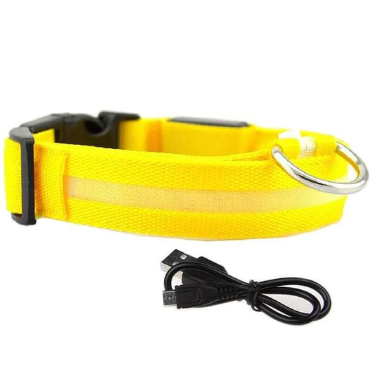Yellow LED Glowing Dog Collar