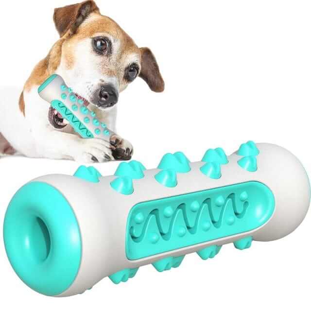 Dog Chew Toothbrush Toy | Dental Cleaning Toy