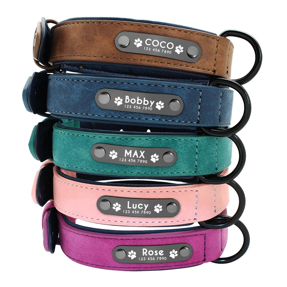 Leather ID Dog Collar | ID Dog Collar | Personalized Collar