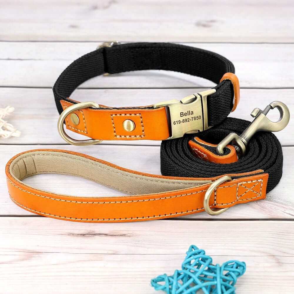 Nylon ID Dog Collar with Leash