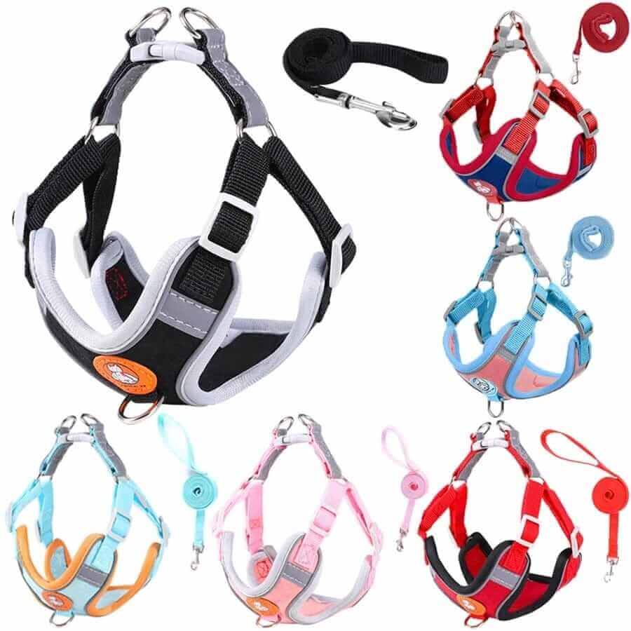 Dog Harness and LeashHARNESSES