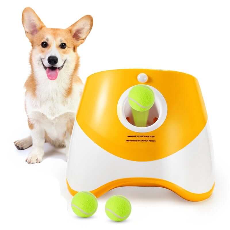 Automatic Tennis Launcher for Dogs