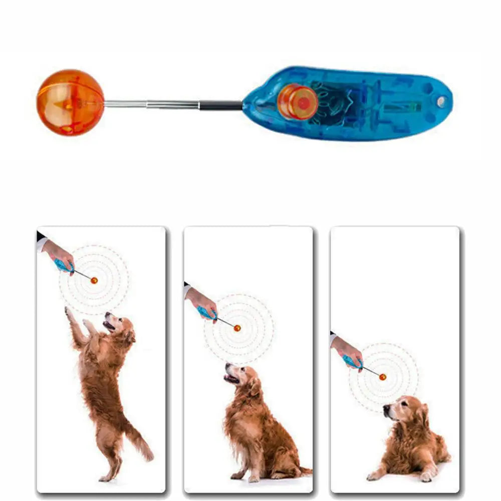 Behogar Pet Training Clicker - Novelty Stretchable DesignDog Training,Dog Training Clicker,Dog Training Toy,Outdoor Dog Training Toy,Pet Training Clicker,TRAINING PRODUCTS,Training Toy