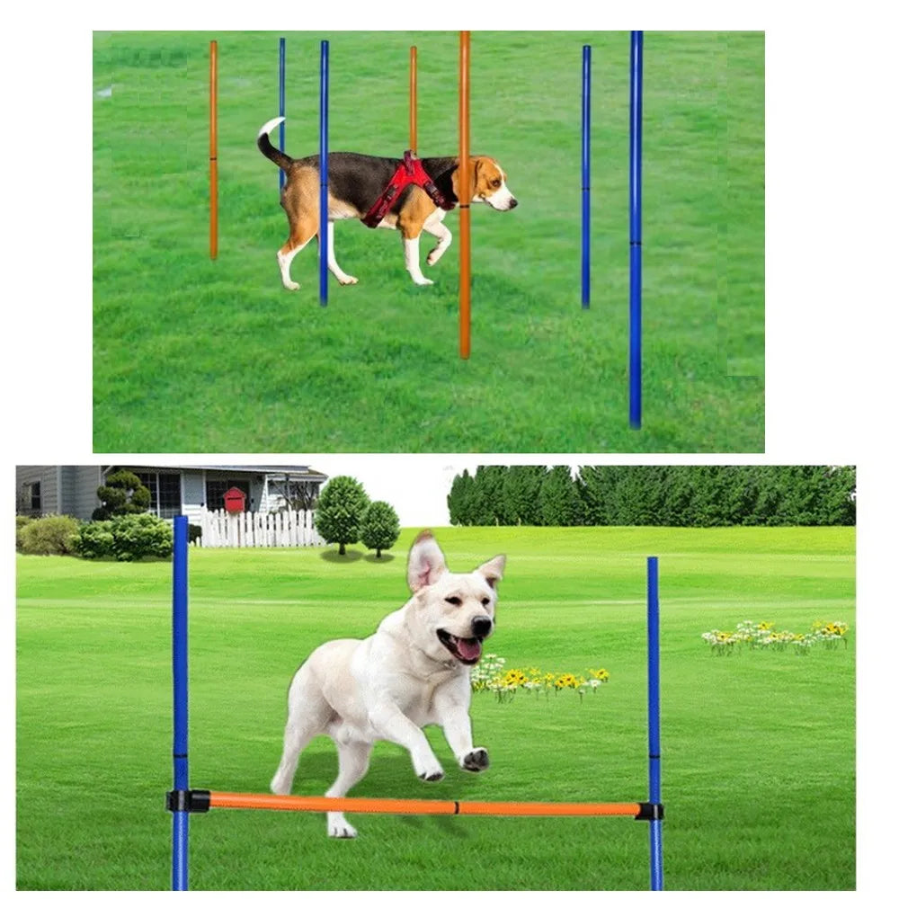 Ultimate Dog Agility Set: 7-Piece Training Kit with 60cm Tunnel