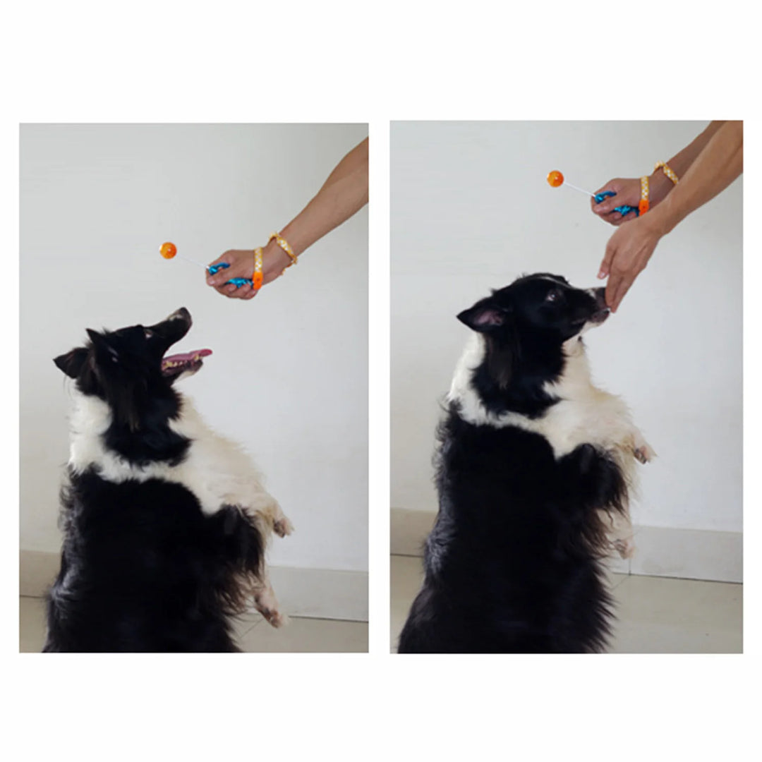 Behogar Pet Training Clicker - Novelty Stretchable DesignDog Training,Dog Training Clicker,Dog Training Toy,Outdoor Dog Training Toy,Pet Training Clicker,TRAINING PRODUCTS,Training Toy