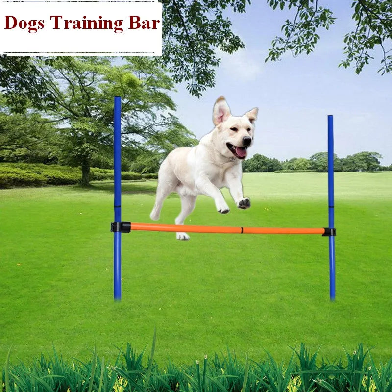 Ultimate Dog Agility Set: 7-Piece Training Kit with 60cm Tunnel