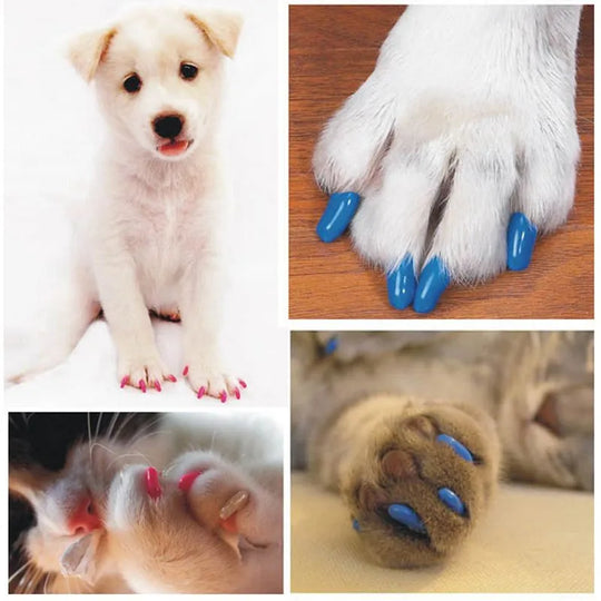20 Pcs Pet Dog Nail Caps - Soft Claw Control Paw CapsDog Grooming,Dog Nail Caps,GROOMING,Nail Caps,Paw Caps,Pet Nail Caps