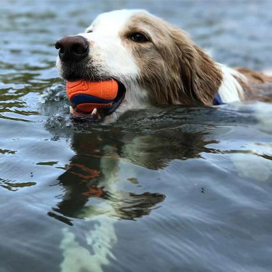 Durable Chew-Resistant Rubber Dog BallBounce Toy,Dog Ball,Dog Toys,Rubber Dog Ball,TOYS