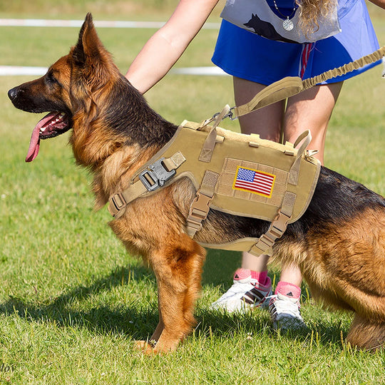 Tactical Military Dog Harness Set - Vest, Leash, Pouches