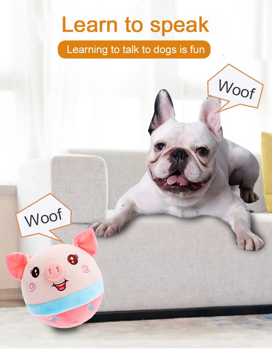 Talking Plush Doll Balls - Interactive Pet Toy for DogsDoll Balls,Interactive Dog Toy,Interactive Pet Toy,Pet Toy,Talking Doll Balls,Talking Plush Doll Balls,TOYS