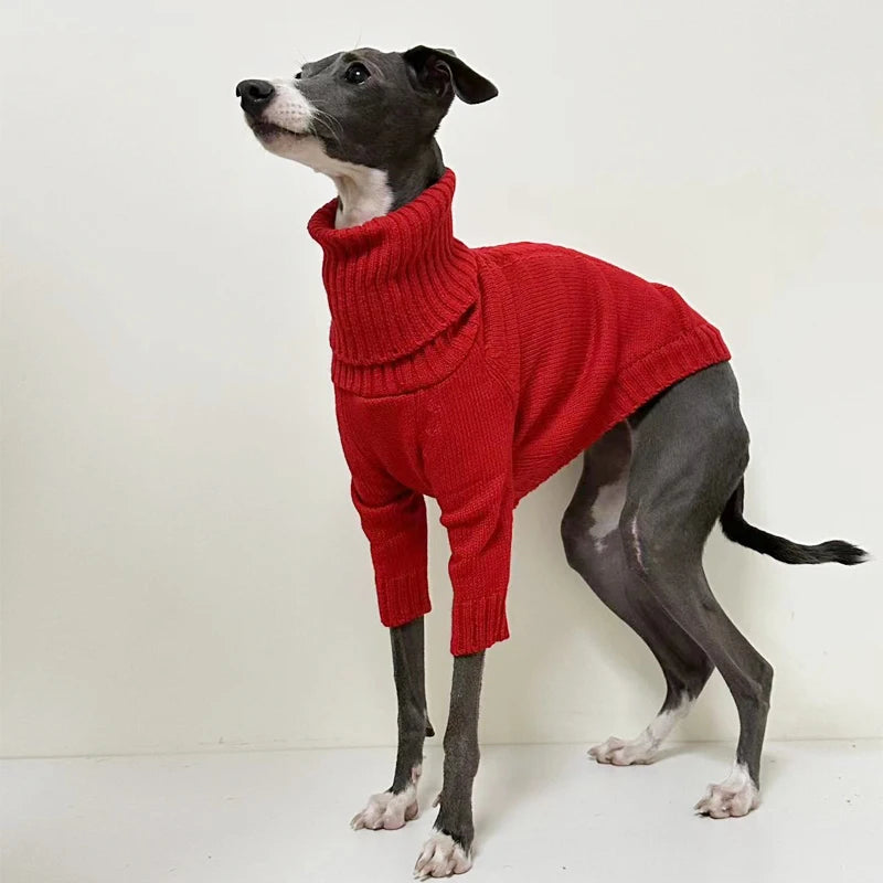 Red Knitted Turtleneck Sweater for Italian GreyhoundCLOTHING,Italian Greyhound Sweater,Knitted Turtleneck Dog Sweater,Red Knitted Sweater