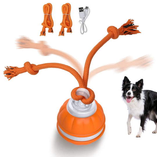 Smart Interactive Dog Toy Ball - Motion Activated Chew ToyChew Toy,Chew Toys,Dog Chew Toy,Dog Toy,Dog Toy Ball,Dog Toys,Motion Activated Chew Toy,TOYS