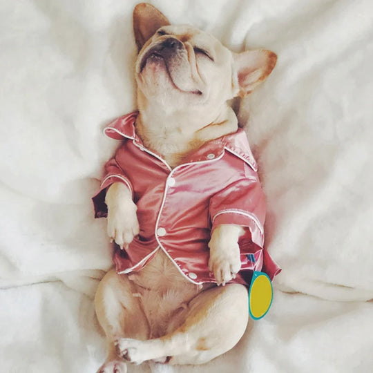 Luxury Silk Pet Pajamas - French Bulldog Clothing for Small DogsBulldog Clothing,CLOTHING,Dogs Clothing,French Bulldog Clothing,Luxury Silk Dog Pajamas,Luxury Silk Pet Pajamas,Small Dogs Clothing