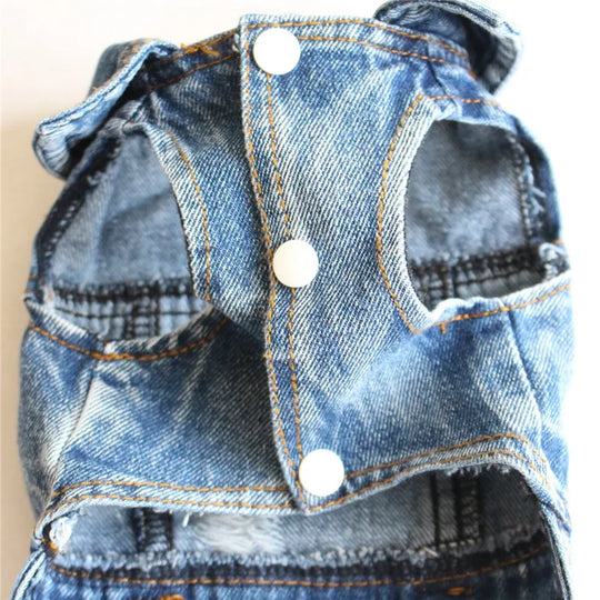 Denim Dog Coat Cowboy Style for Small DogsCLOTHING,Cowboy Style,Cowboy Style Denim Dog Coat,Denim Dog Coat,Dog Coat