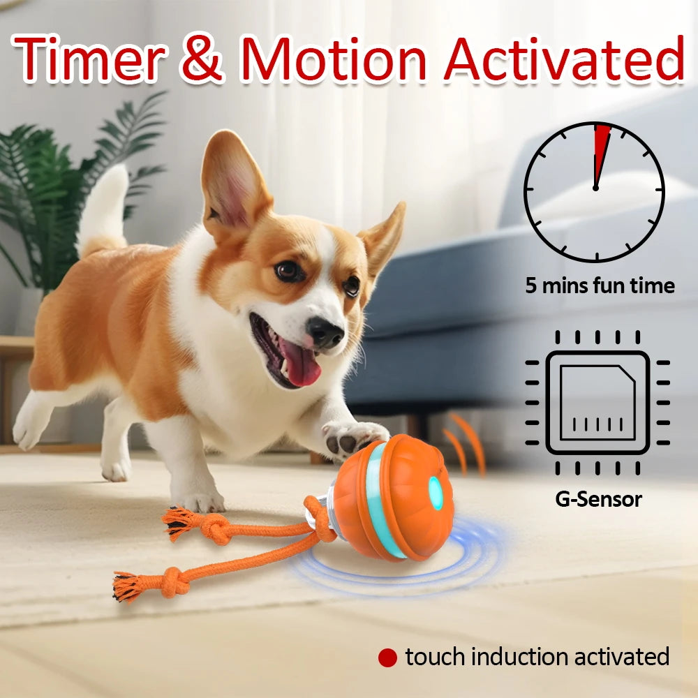 Smart Interactive Dog Toy Ball - Motion Activated Chew ToyChew Toy,Chew Toys,Dog Chew Toy,Dog Toy,Dog Toy Ball,Dog Toys,Motion Activated Chew Toy,TOYS