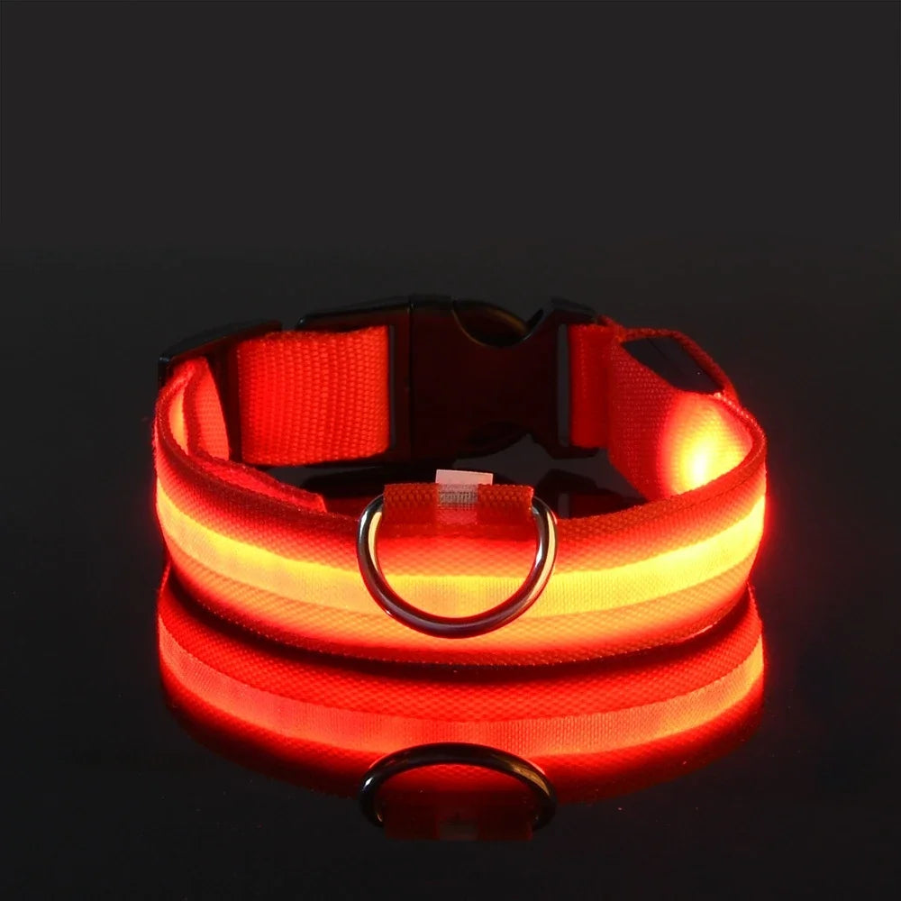 LED Nylon Dog Collar Night Safety Flashing Glow LuminousCOLLARS AND LEASHES,Dog Collar,Flashing Glow Luminous Collar,Night Safety Dog Collar,Night Safety Flashing Collar