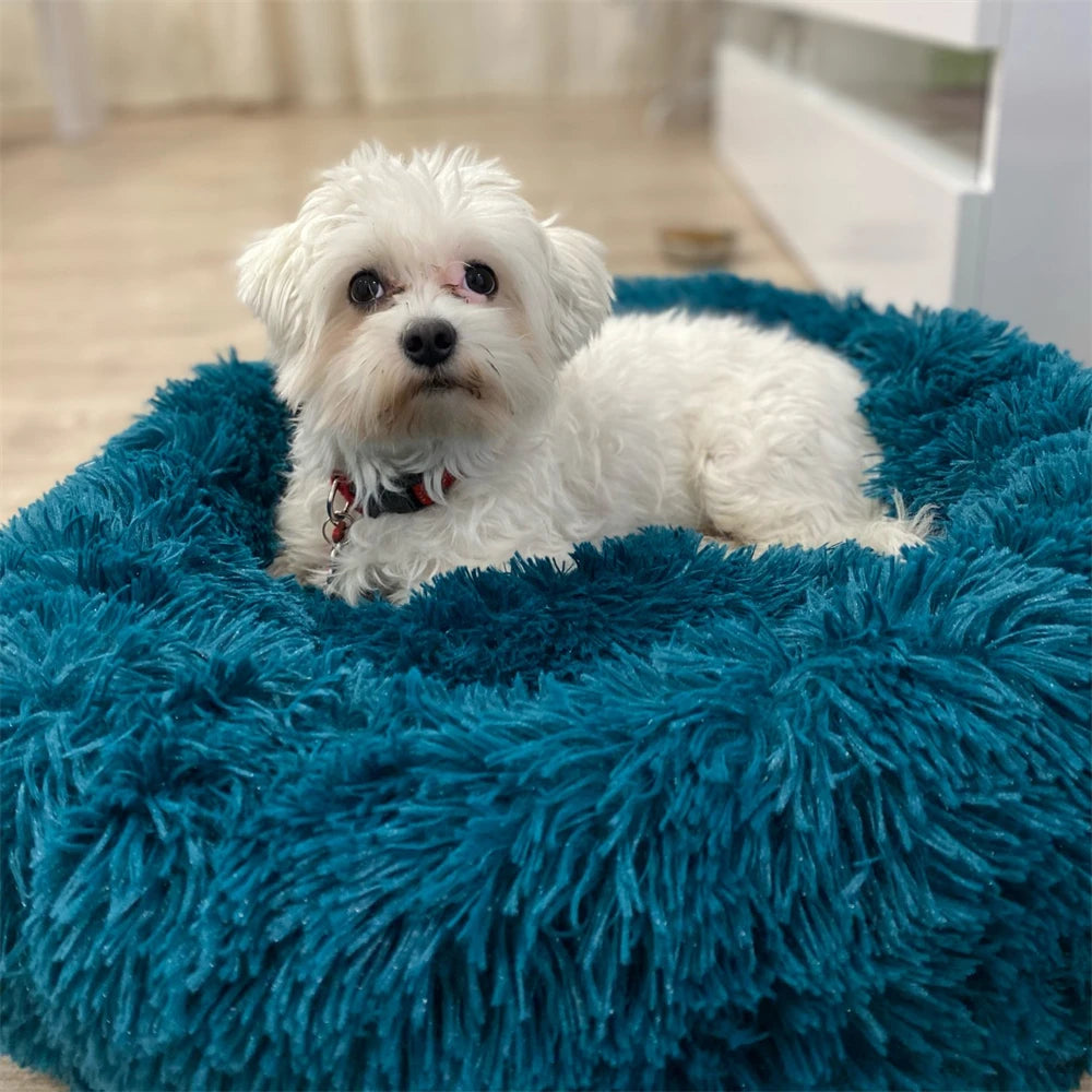 Super Soft Long Plush Round Cushion Dog BedBEDS AND MATS,Dog Bed,Plush Dog Bed,Round Cushion Dog Bed,Soft Dog Bed,Soft Long Plush Dog Bed,Washable Dog Bed