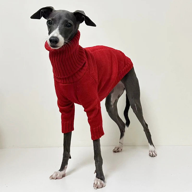 Red Knitted Turtleneck Sweater for Italian GreyhoundCLOTHING,Italian Greyhound Sweater,Knitted Turtleneck Dog Sweater,Red Knitted Sweater