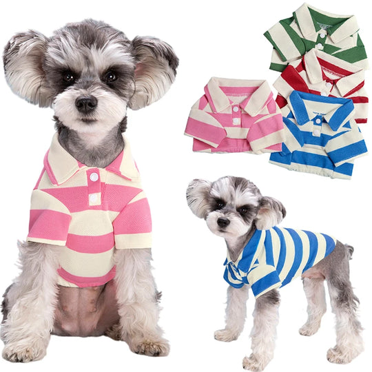 Striped Polo Shirt for Small to Medium DogsCLOTHING,Dogs Polo Shirt,olo Shirt for Small Dog,Polo Shirt,Polo Shirt for Medium Dogs