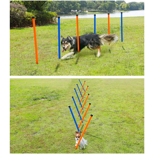 Dog Agility Training Poles - Outdoor Obstacle Jumping PolesDog Agility Training Poles,Dog Jumping Poles,Dog Training Poles,Jumping Poles,Training Poles,TRAINING PRODUCTS