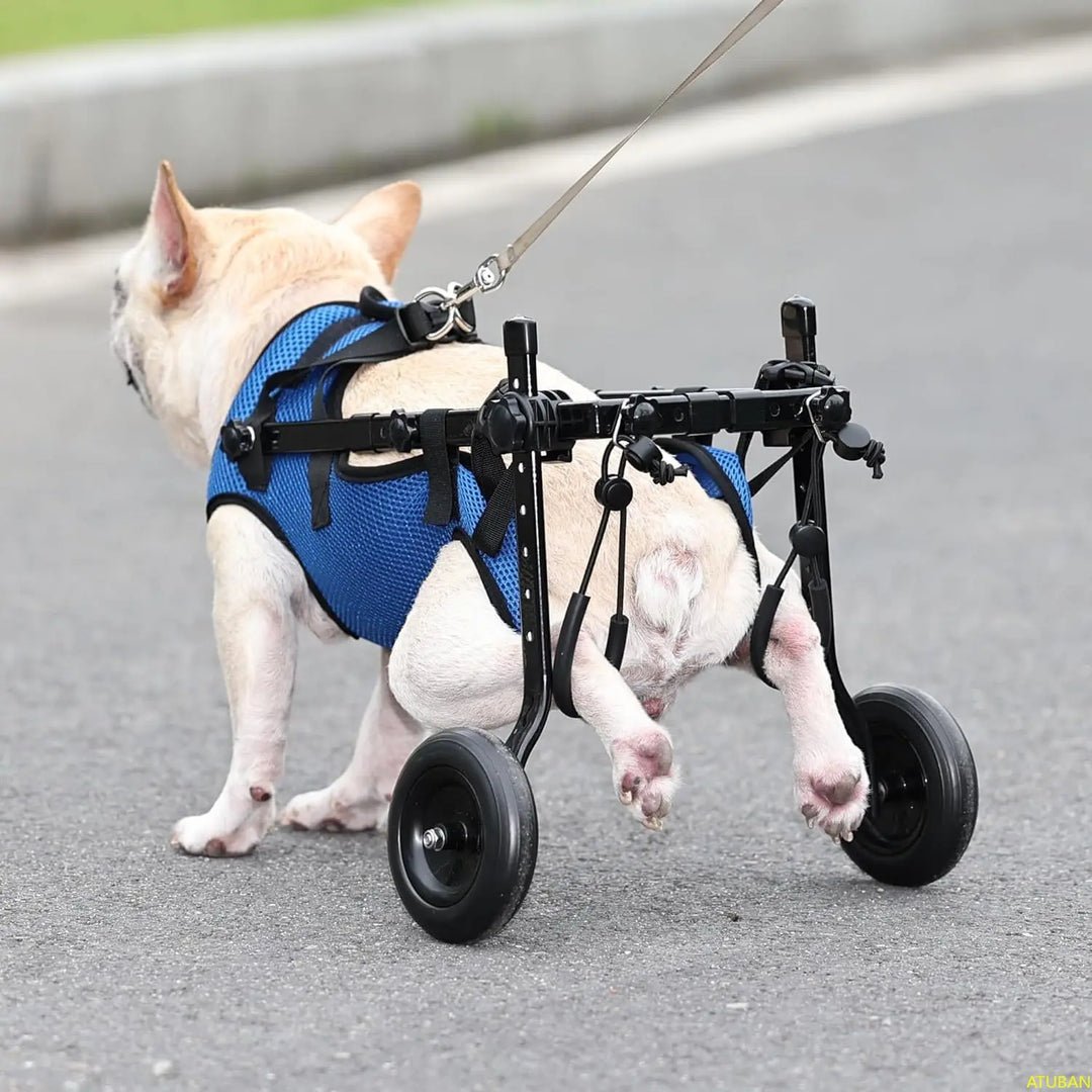 Adjustable Small Dog Wheelchair