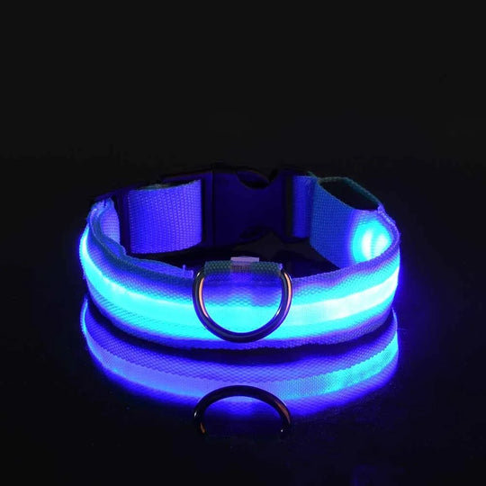 LED Nylon Dog Collar Night Safety Flashing Glow LuminousCOLLARS AND LEASHES,Dog Collar,Flashing Glow Luminous Collar,Night Safety Dog Collar,Night Safety Flashing Collar