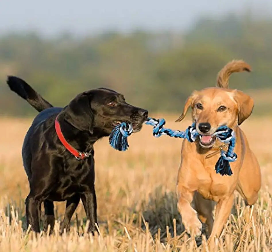 Giant Rope Toy for Medium-Large DogsChew Toy,Chew Toys,Dog Chew Toy,Dog Toy,Dog Toys,Giant Rope Toy,Interactive Chew Toys,Interactive Toys,Rope Toy,TOYS