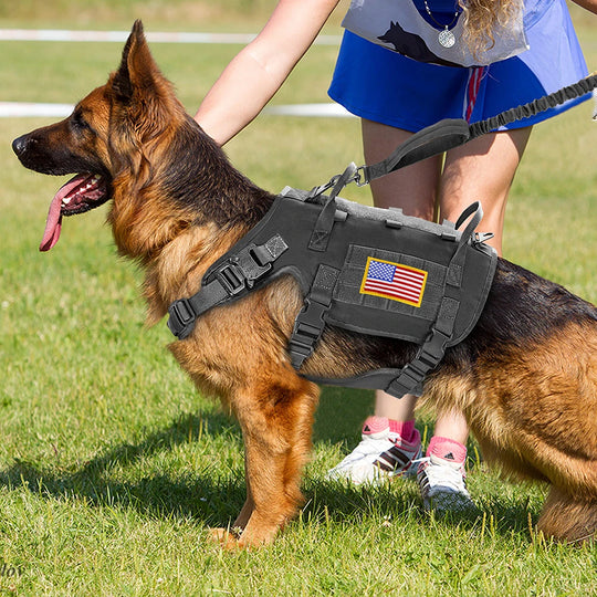 Tactical Military Dog Harness Set - Vest, Leash, Pouches