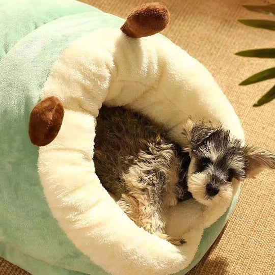 MADDEN Slipper-Shaped Dog BedBEDS AND MATS,Dog Bed,Foldable Dog Bed,MADDEN Dog Bed,Washable Dog Bed